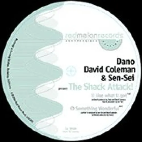 Dano, Dan Coleman, Sen-Sei - Use What U Got